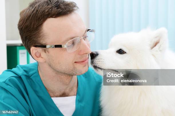 Veterinario - Fotografie stock e altre immagini di Cane - Cane, Veterinario, Accudire