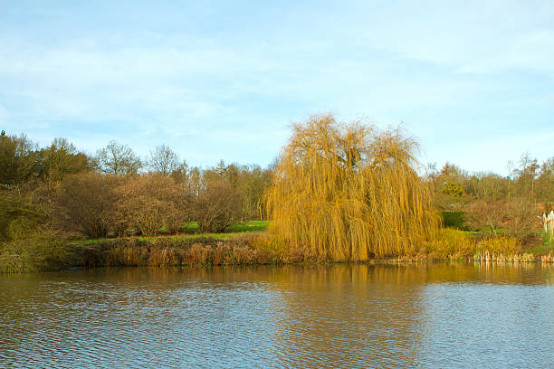 istock english countryside scene on a cold winters day 167462878