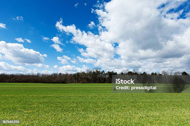 Verde Prato Con Panorama Di Nuvole - Fotografie stock e altre immagini di Ambientazione esterna - Ambientazione esterna, Cielo, Colore verde