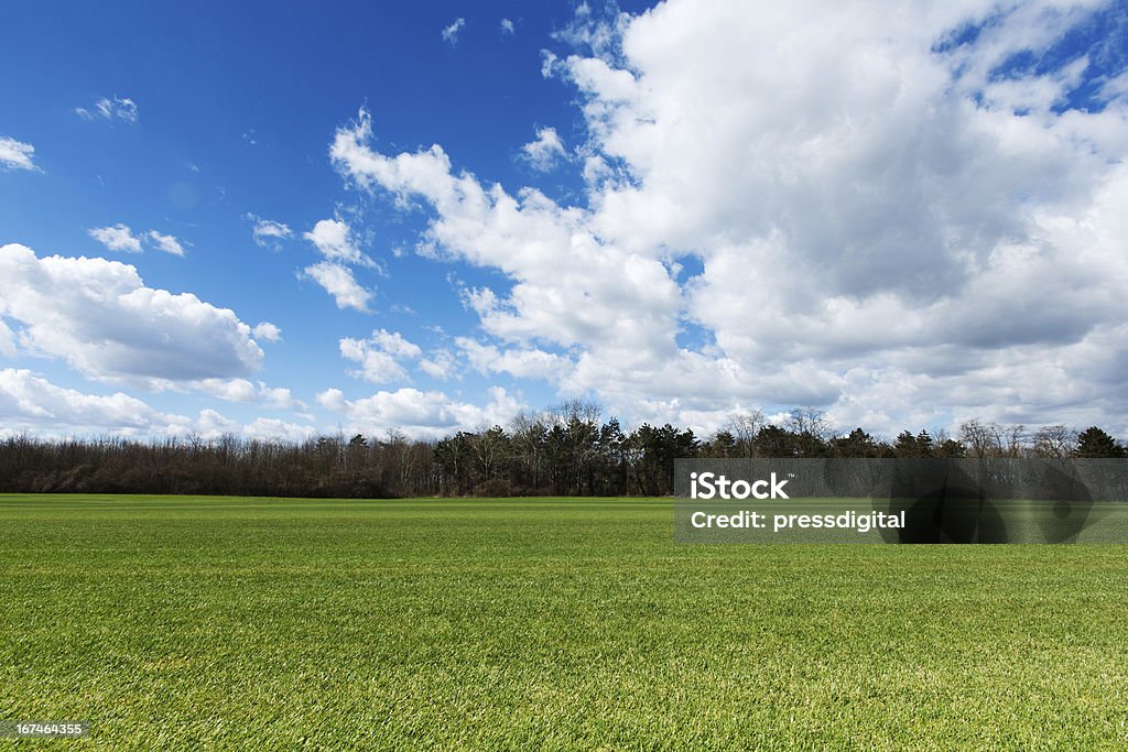 Зелёный луг с Облачный пейзаж - Стоковые фото Без людей роялти-фри