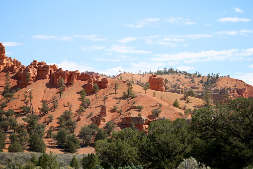 Color landscape photograph of Bryce Canyon Utah with small hoodoo rock formations in the red hills and lush green trees in the foreground.