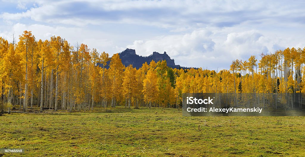 Żółta i zielona drzew z przodu góra - Zbiór zdjęć royalty-free (Bez ludzi)
