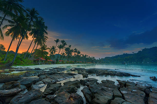istock sunrise on a tropical beach 167466387