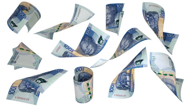 istock 3D rendering of 2023 100 South African rand notes flying in different angles and orientations isolated on white background 1674687017