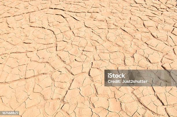 클로즈업 드라이 토양 애니메이션 0명에 대한 스톡 사진 및 기타 이미지 - 0명, 가뭄, 갈색
