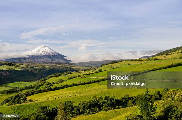 Parque Nacional De Cotopaxi Vulcão Equador - Fotografias de stock e mais imagens de América do Sul - América do Sul, Atividade, Azul