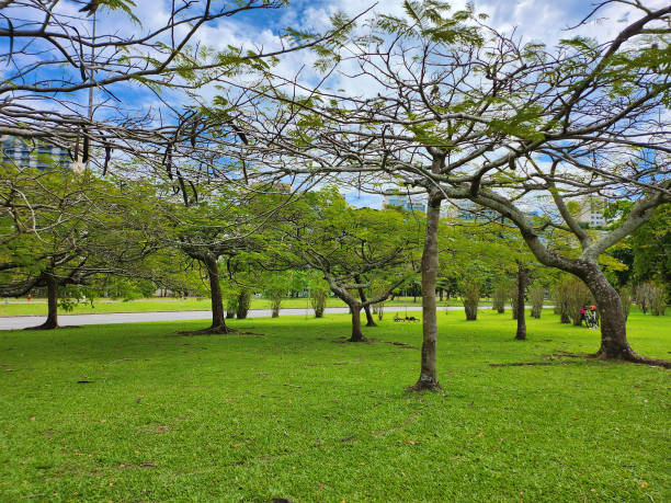 istock Flamengo Park in Rio de Janeiro 1674698905