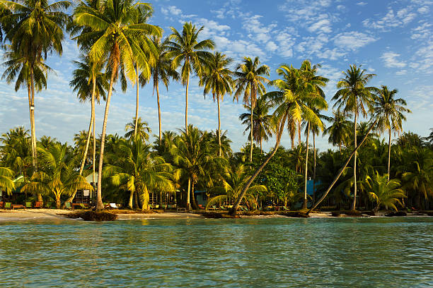 istock Beach on the Koh Kood island, Thailand 167470403