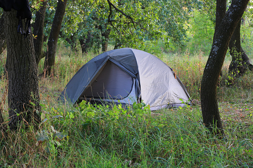 Modern tourist tent on meadow in forest. Take it in Ukraine