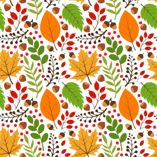 Vector illustration of Pattern with autumn leaves. Vector seamless drawing of leaves, acorns, nuts, mountain ash. Background for textiles or book covers, wallpaper, design, graphics, printing, hobbies, invitations.