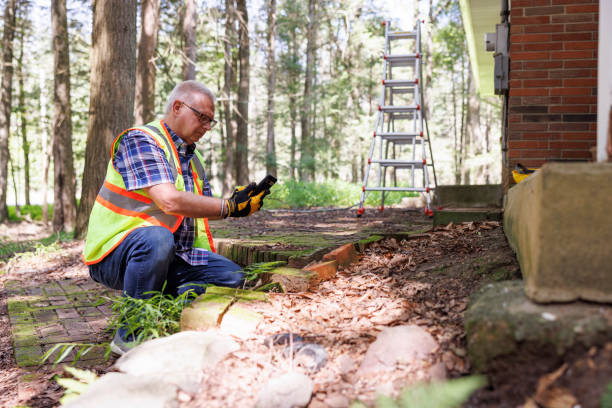 istock Insurance inspector photographing damaged masonry. Mature gray haired agent checking consequences on stone steps in house yard after storm 1674767651