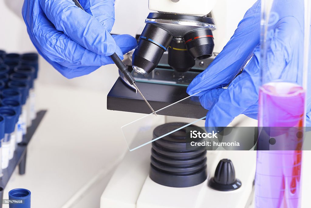 Attrezzature di laboratorio - Foto stock royalty-free di Attrezzatura