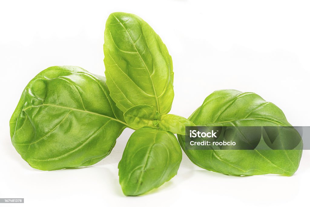 Basil leaves, isolated on white Basil Stock Photo