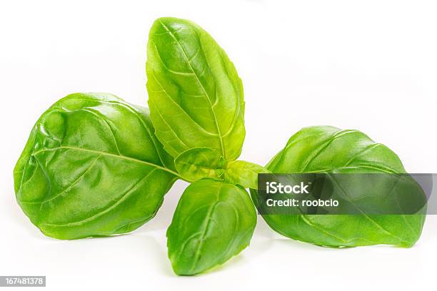 Basil Leaves Isolated On White Stock Photo - Download Image Now - Basil, Botany, Cooking