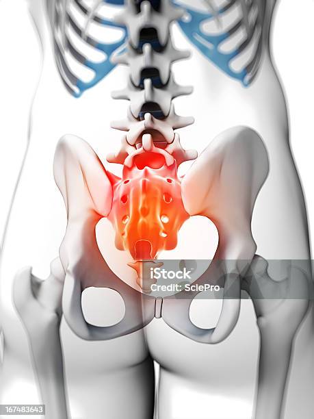 Painful Sacrum Stock Photo - Download Image Now - Anatomy, Biomedical Illustration, Blue