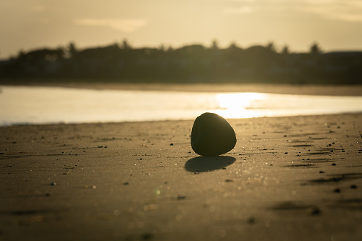 One cocnut and it's shadow backlit on beach at sunrise at Denarau, Fiji.
