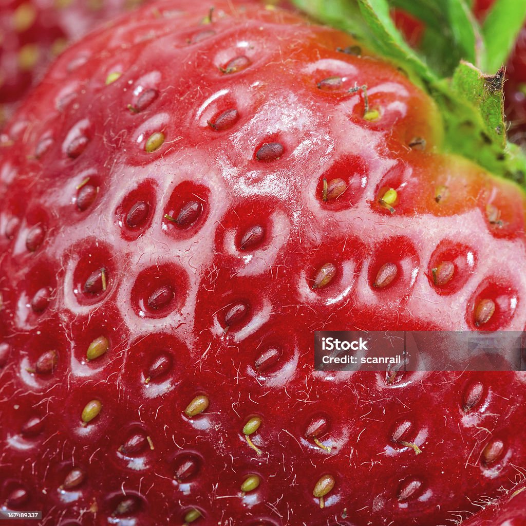 Macro view of fresa - Foto de stock de Alimento libre de derechos
