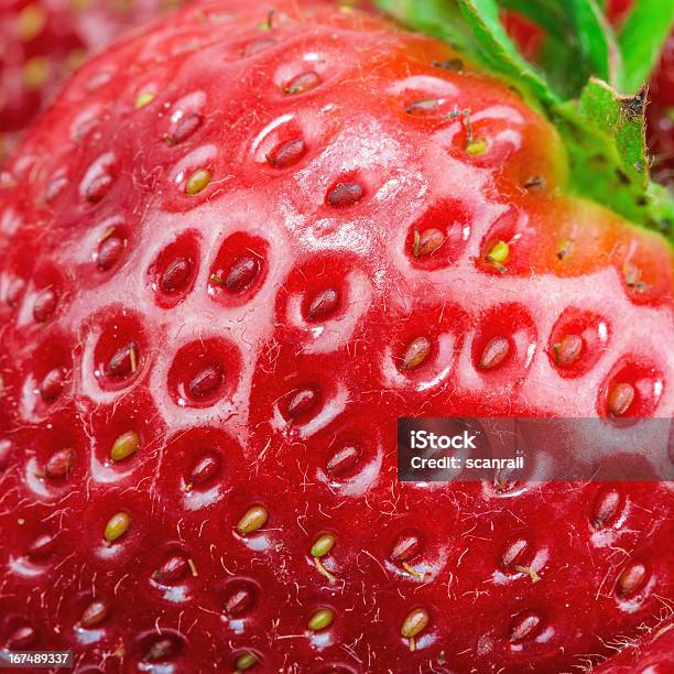 Vista De Macro De Morango - Fotografias de stock e mais imagens de Comida - Comida, Fotografia - Imagem, Fruta