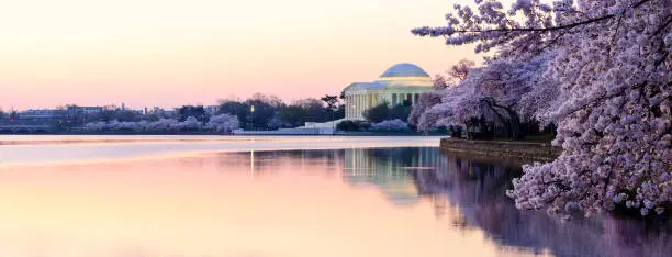 Photo of Panoramic of Thomas Jefferson Memorial in the early morning