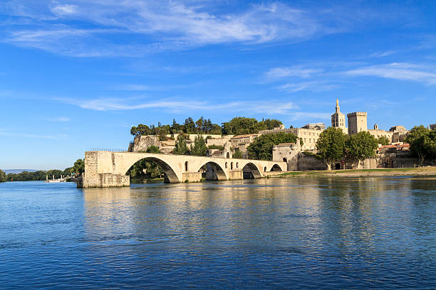 avignon bridge a papi palace, ponte di saint-benezet, provenza - rhone bridge foto e immagini stock