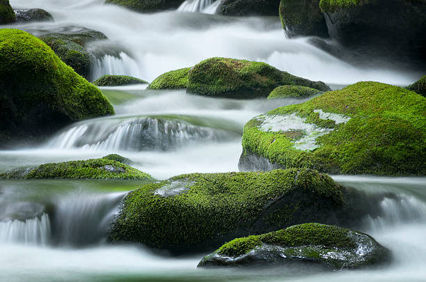 roaring fork creek, parco nazionale montagne fumose - spring waterfall landscape mountain foto e immagini stock