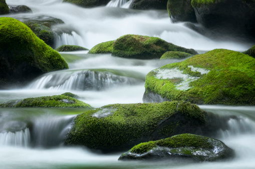 Cascading water over bright green moss-covered boulders in Tennessee