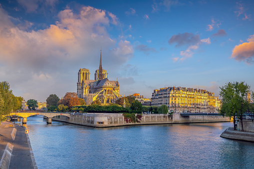 Notre Dame de Paris cathedral in Paris France at sunrise