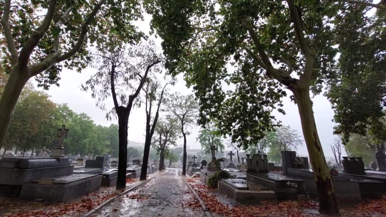 Rain on the graves of the cemetery 2