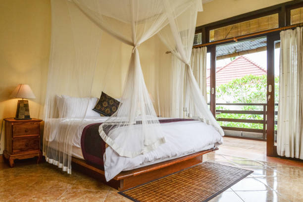 istock Cozy canopy bed in bedroom 1675063385
