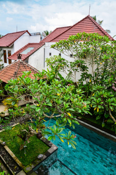 istock Garden on back yard with swiming pool 1675063394