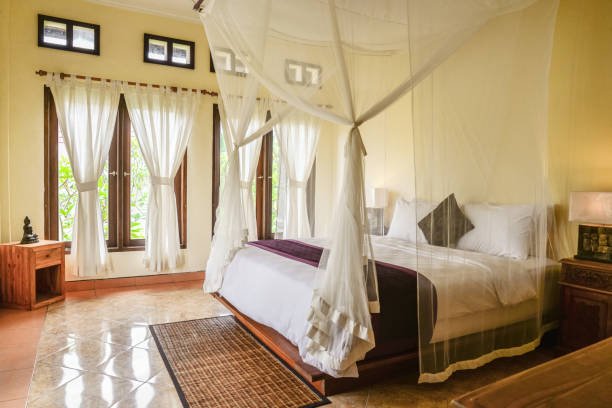 istock Cozy canopy bed in bedroom 1675063688