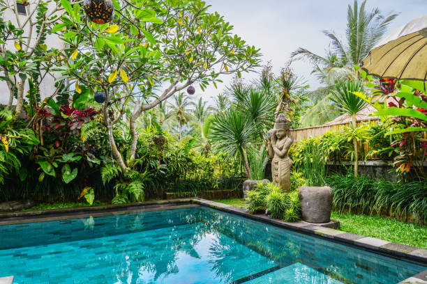 istock Garden on back yard with swimming pool 1675063924