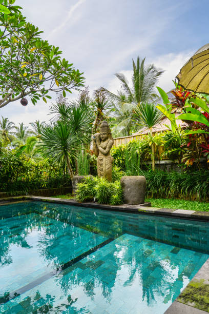 istock Garden on back yard with swimming pool 1675063930