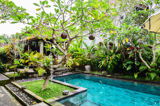 istock Garden on back yard with swimming pool 1675063936