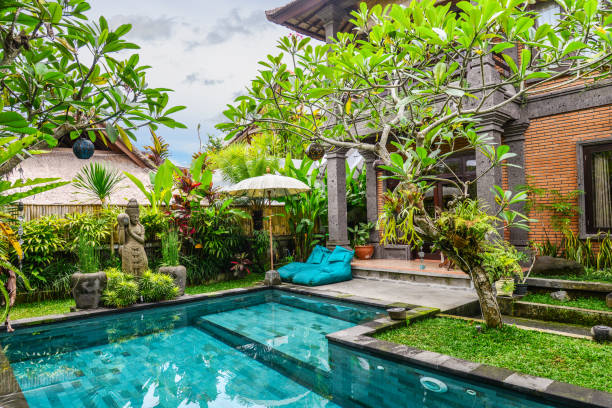istock Garden on back yard with swimming pool 1675063937