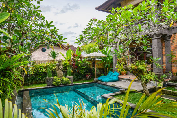 istock Garden on back yard with swimming pool 1675063939