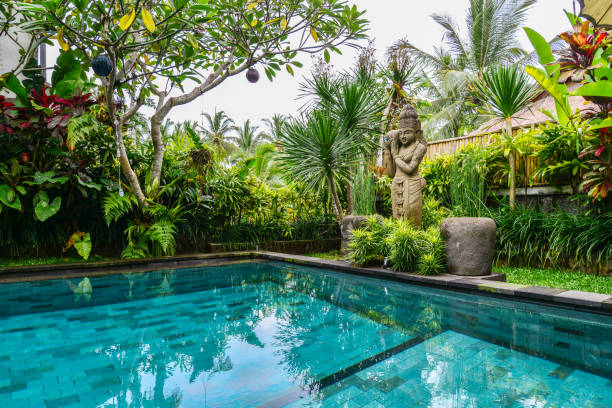istock Garden on back yard with swimming pool 1675063940