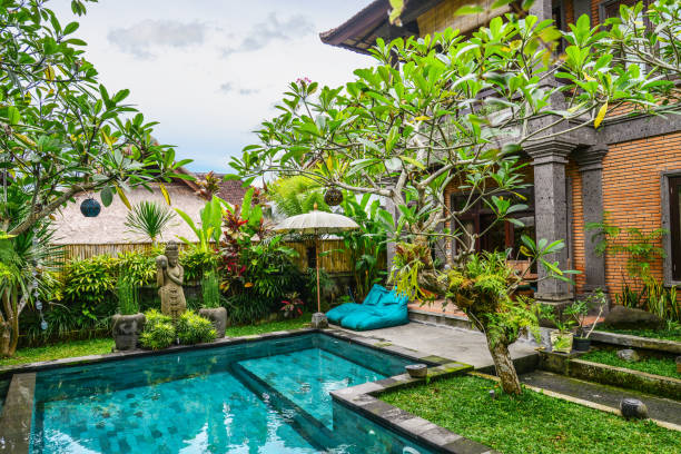 istock Garden on back yard with swimming pool 1675063944