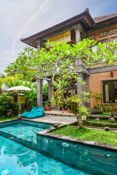 istock Garden on back yard with swimming pool 1675064452