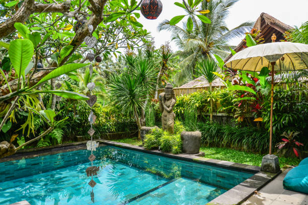 istock Garden on back yard with swimming pool 1675064454