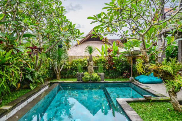 istock Garden on back yard with swimming pool 1675064455