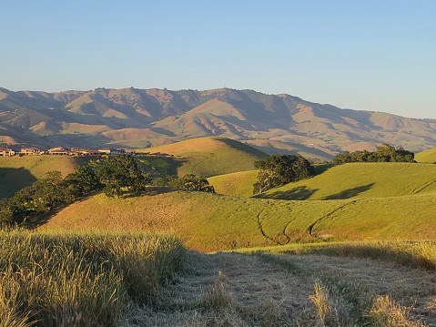 The golden hour light shines on the hills of the East Bay