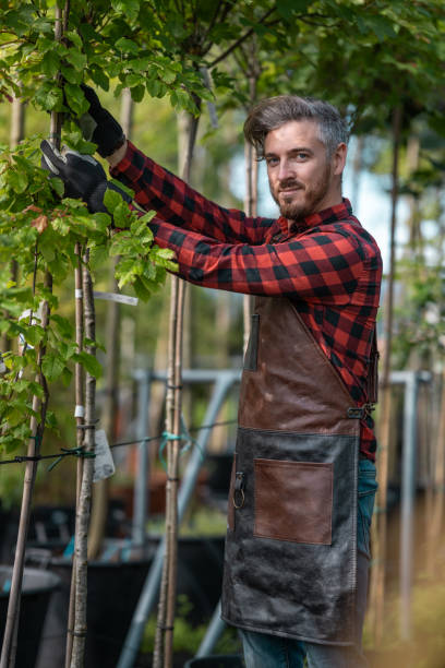 istock Portrait of a gardener pruning seedlings 1675120479