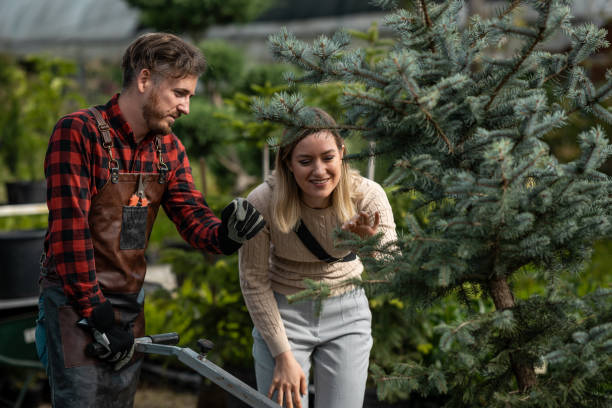 istock A woman buys a spruce in a nursery 1675121050