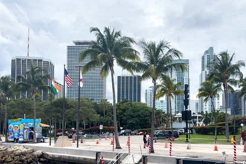 Miami, Florida - August 25th, 2023: Road with tall palms and modern buildings in Miami Beach.