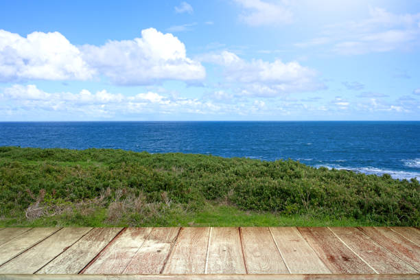 istock Textured wooden planks Against sea scape background. 1675144745