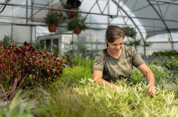 istock A female gardener in a greenhouse 1675144786