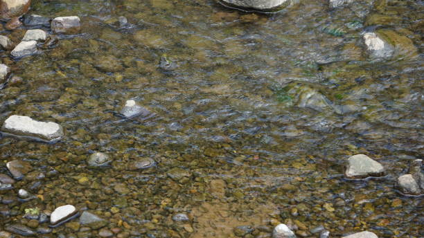 istock dry river in the dry season 1675177105