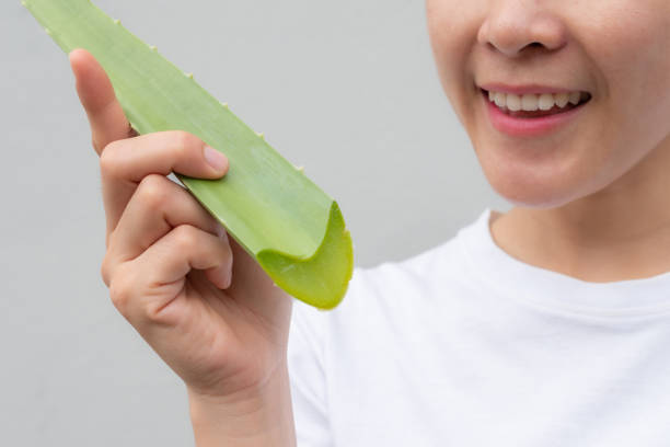 mulher asiática segurando folha de aloe vera para usar gel como um hidratante rápido para sua pele. - herbal medicine asian ethnicity aloe women - fotografias e filmes do acervo