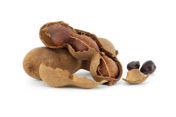 istock Tamarind whole and cracked open on white background 1675197342